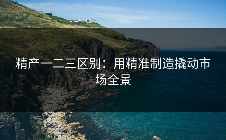 精产一二三区别：用精准制造撬动市场全景