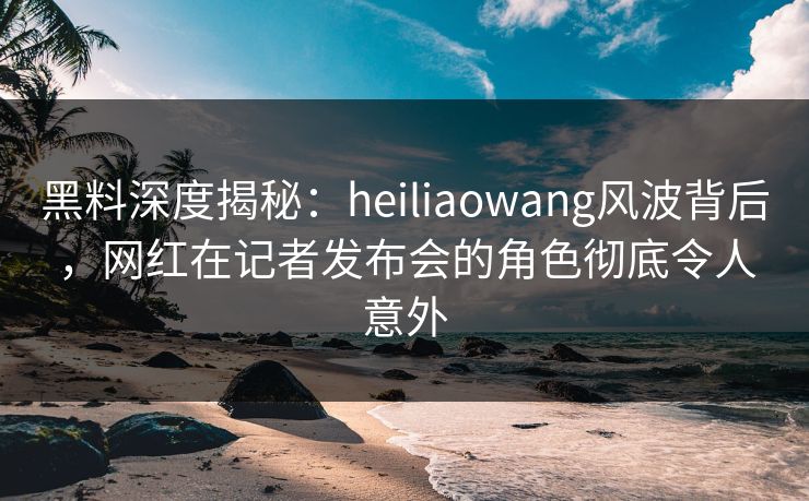 黑料深度揭秘：heiliaowang风波背后，网红在记者发布会的角色彻底令人意外